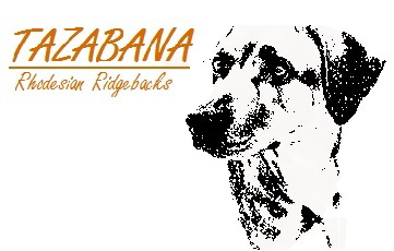 TAZABANA Rhodesian Ridgebacks